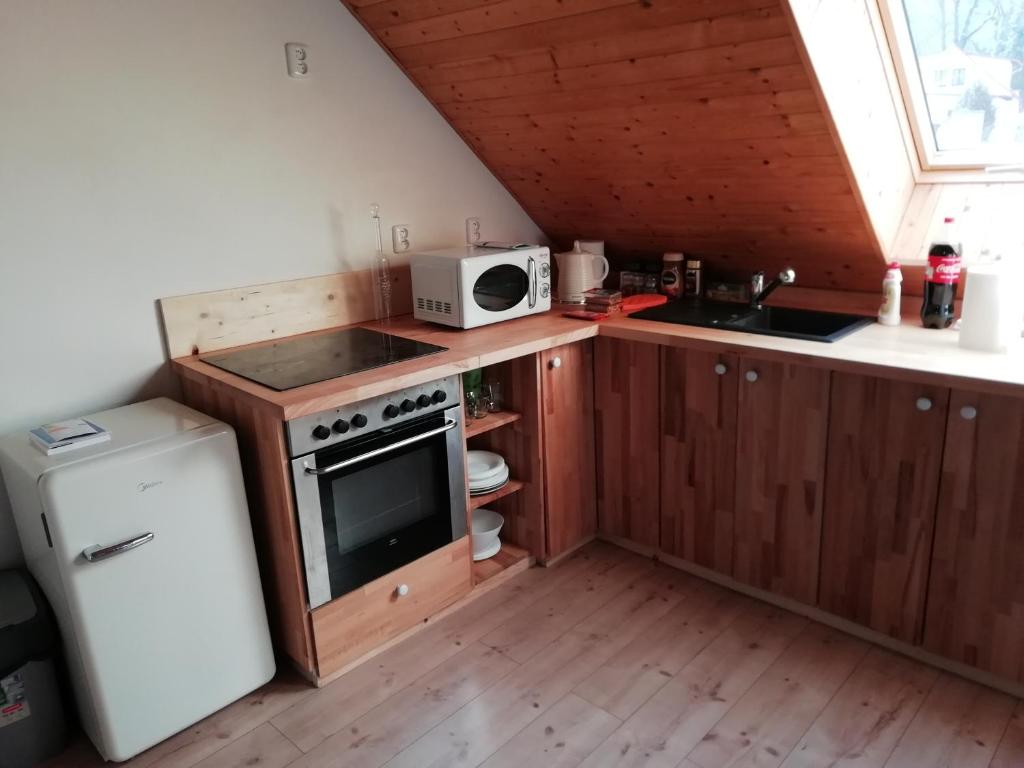 cocina pequeña con fogones y microondas en apartmán Sázava, en Sázava