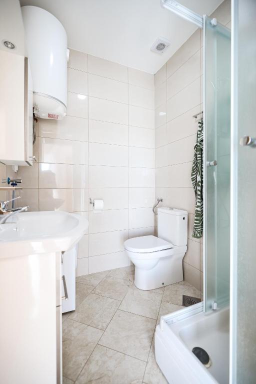 a bathroom with a toilet and a sink and a shower at Apartments Anka with Seaview in Vrsi