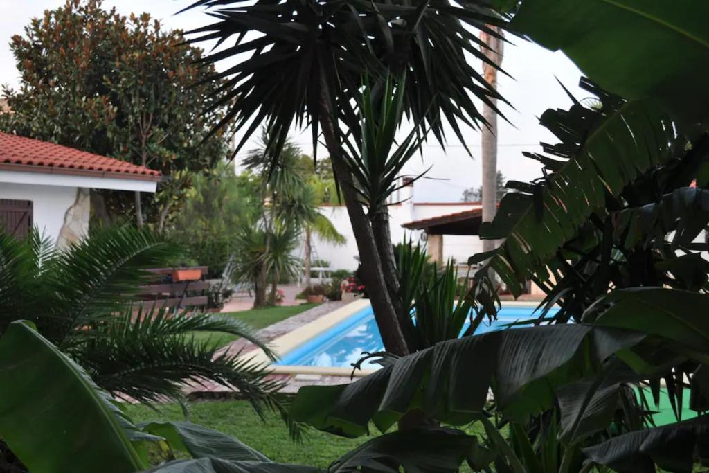 Villa Rosi Fiusco