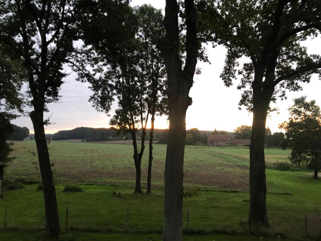 un grupo de árboles en un campo con la puesta de sol en el fondo en Ferienvermietung Reinstorf, en Reinstorf