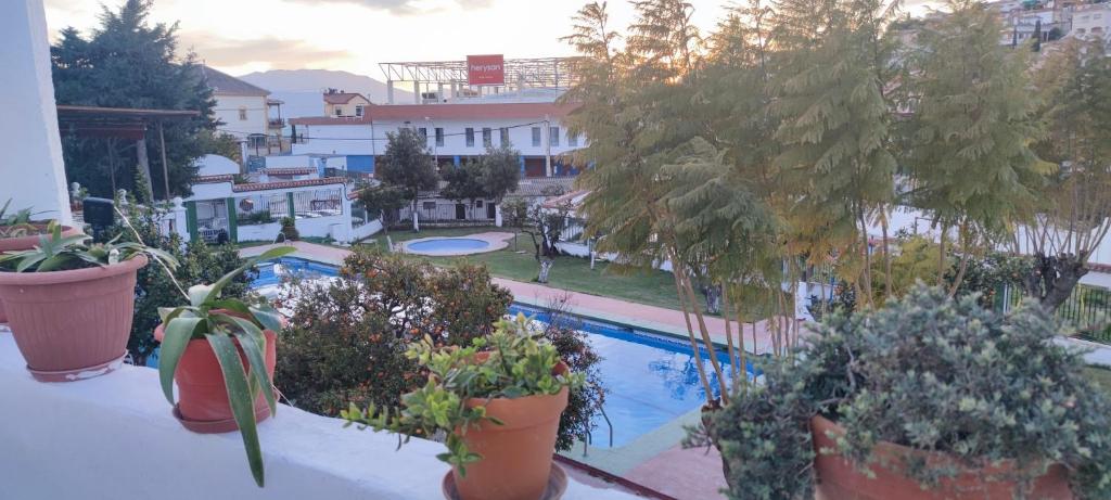 einen Balkon mit Topfpflanzen und einen Pool in der Unterkunft APARTAMENTO HUERTA NUEVA in Málaga