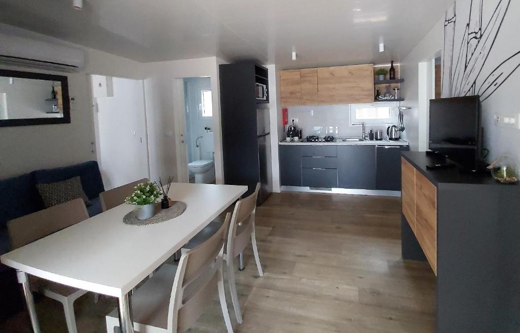 Kuchyň nebo kuchyňský kout v ubytování Mobile Home Sole
