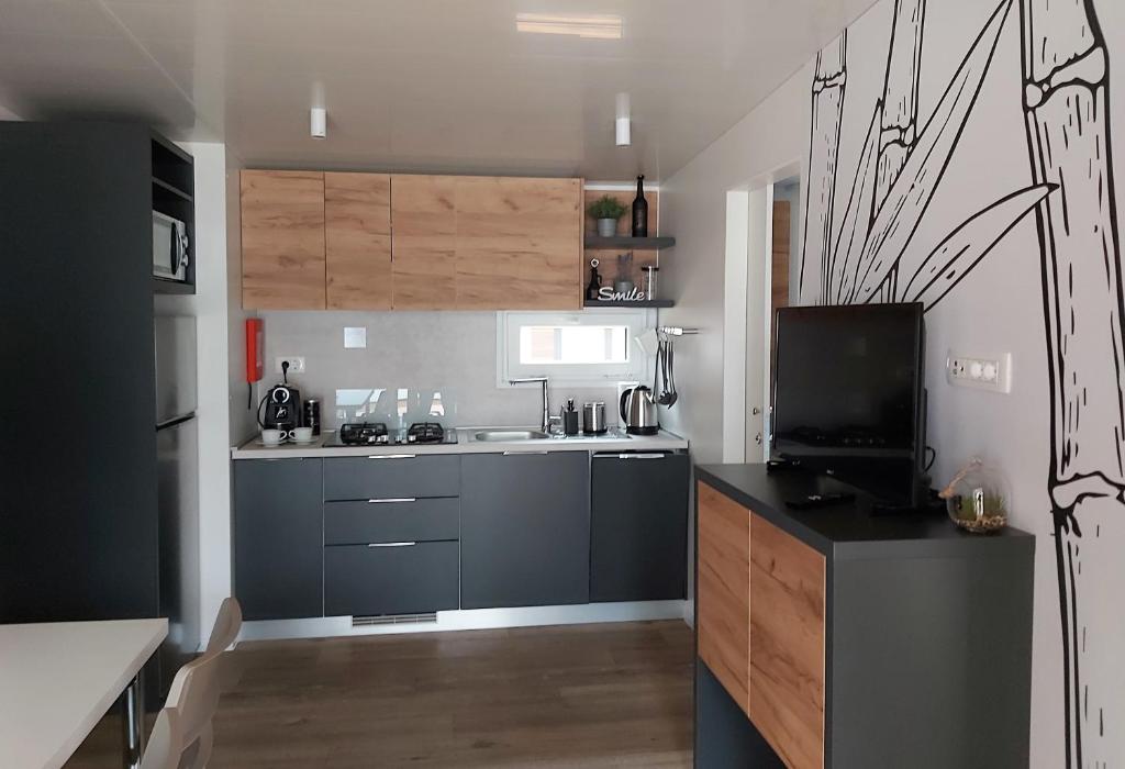 Kuchyň nebo kuchyňský kout v ubytování Mobile Home Sole