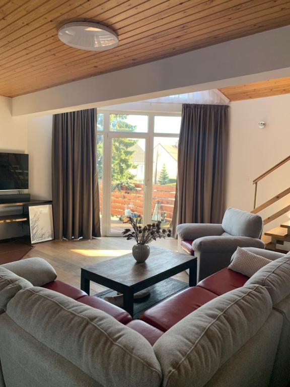 班斯卡-比斯特里察Villa Haškova with 3 bedrooms的带沙发和桌子的客厅