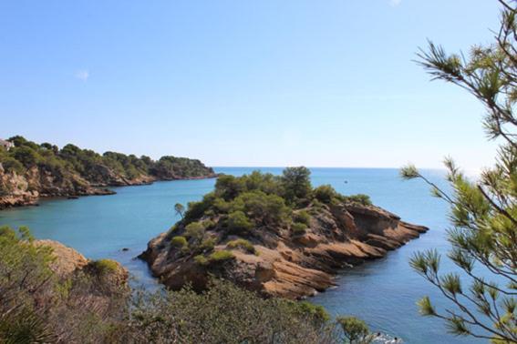 Fotografia z galérie ubytovania Casita de pescadores con vista al puerto v destinácii L'Ametlla de Mar