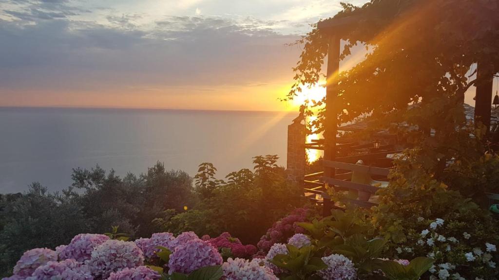 a sunset over the ocean with flowers in the foreground at SUNRISEVIEw SUITE and Gallery in Zagora