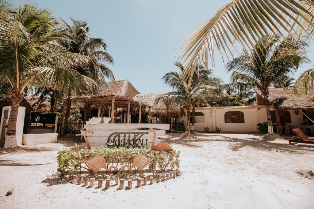un grupo de sillas en una playa con palmeras en La Diosa Kali Beach Front Hotel en Holbox Island