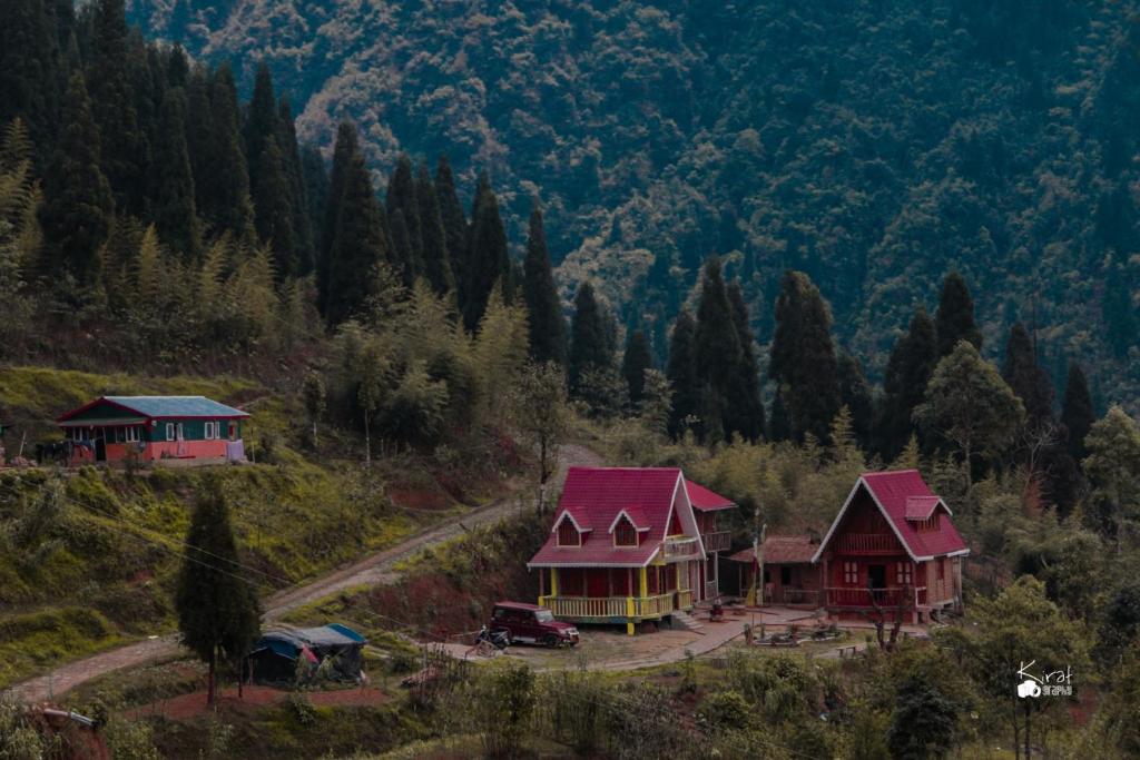 um grupo de casas numa colina com árvores em Spring Brooks Homestay em Darjeeling