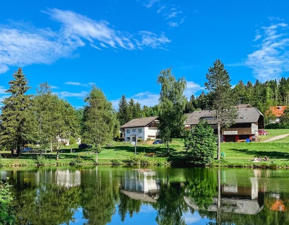 ein Haus auf einem Hügel neben einem See in der Unterkunft Ferienwohnungen Am Skilift in Herrischried