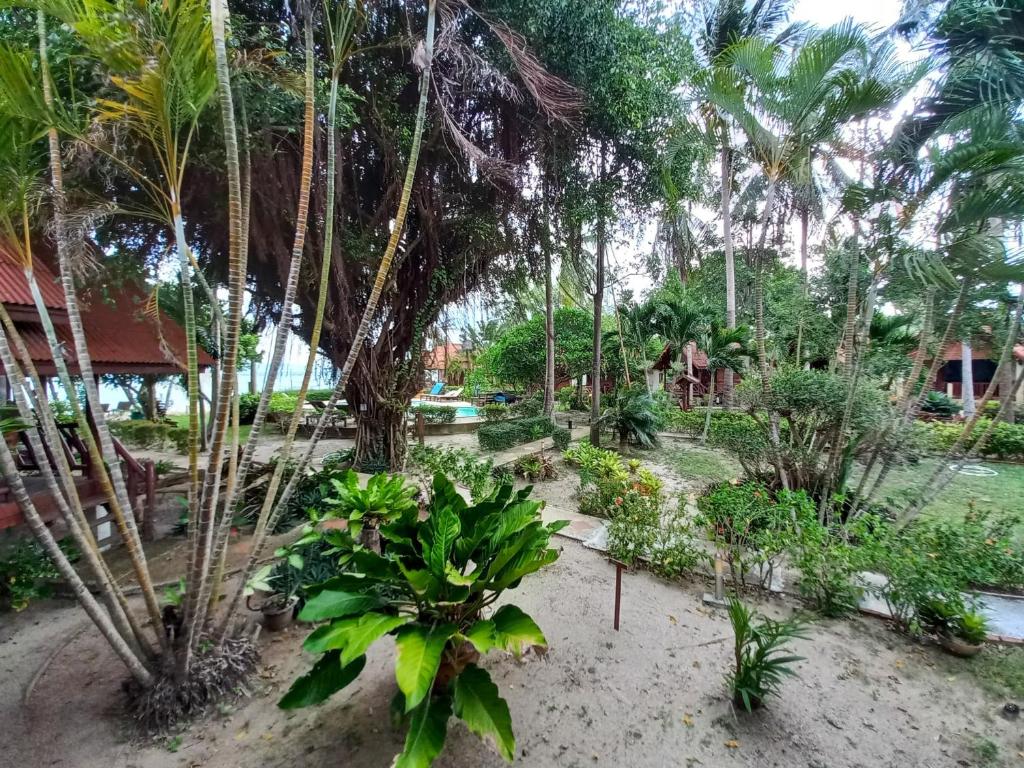 Morning Star Resort - 5