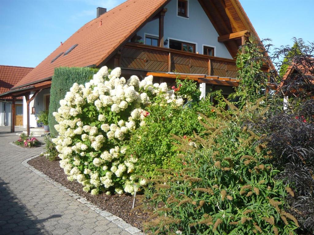a bush of white flowers in front of a house at Ferienwohnung Schwarz in Röttenbach