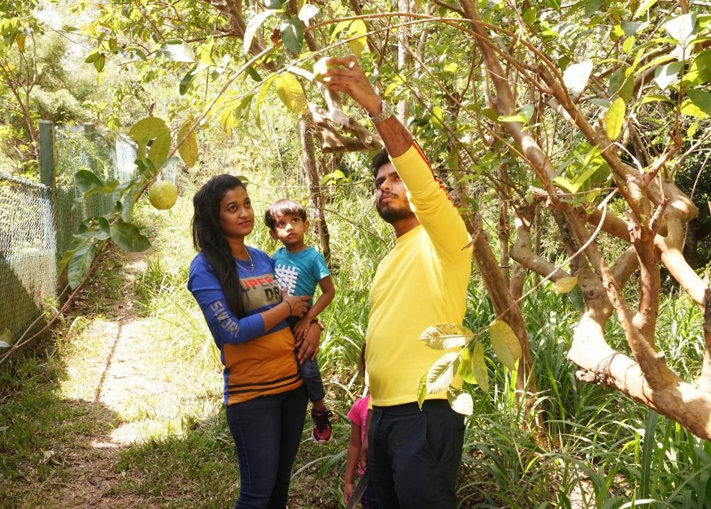 Hosté ubytování Kandy Nature Resort