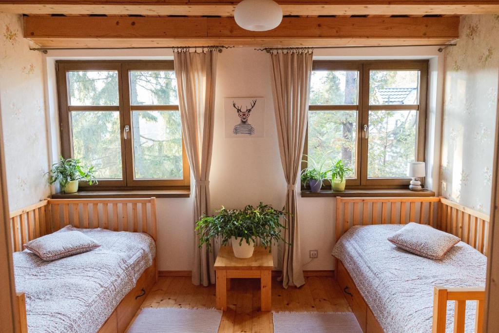 Postel nebo postele na pokoji v ubytování Chata u Gregora v Slovenskom raji