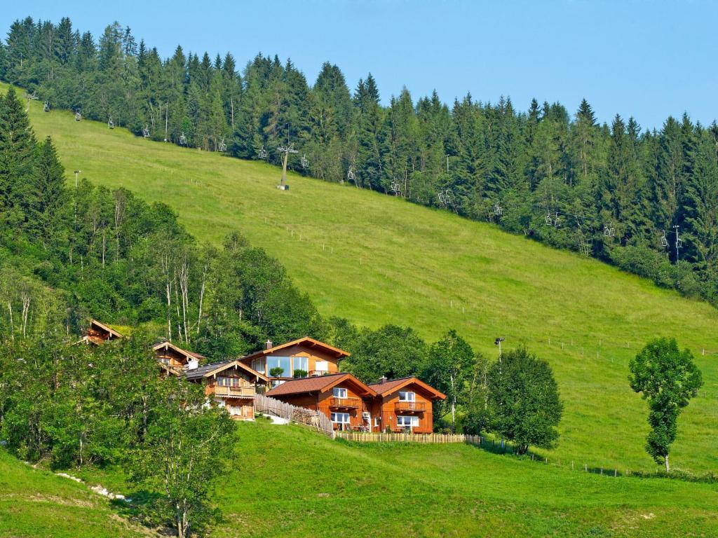 a house on a hill in a green field at Holiday Home Nikola by Interhome in Flachau