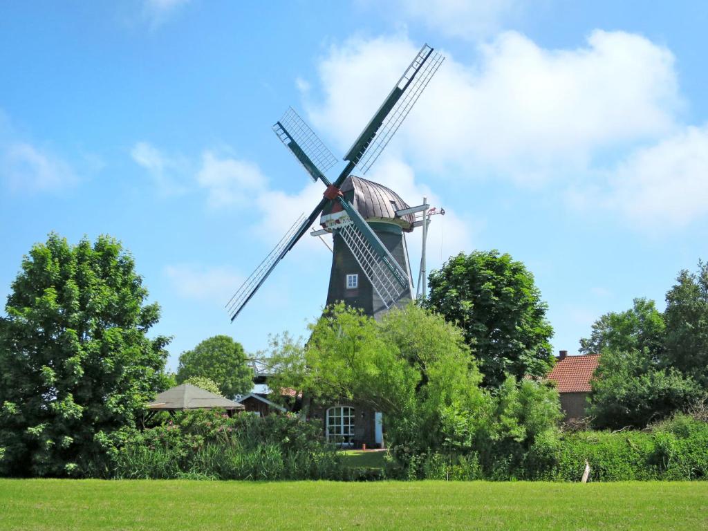 a windmill in the middle of a green field at Holiday Home Sielmühle by Interhome in Middelsbur