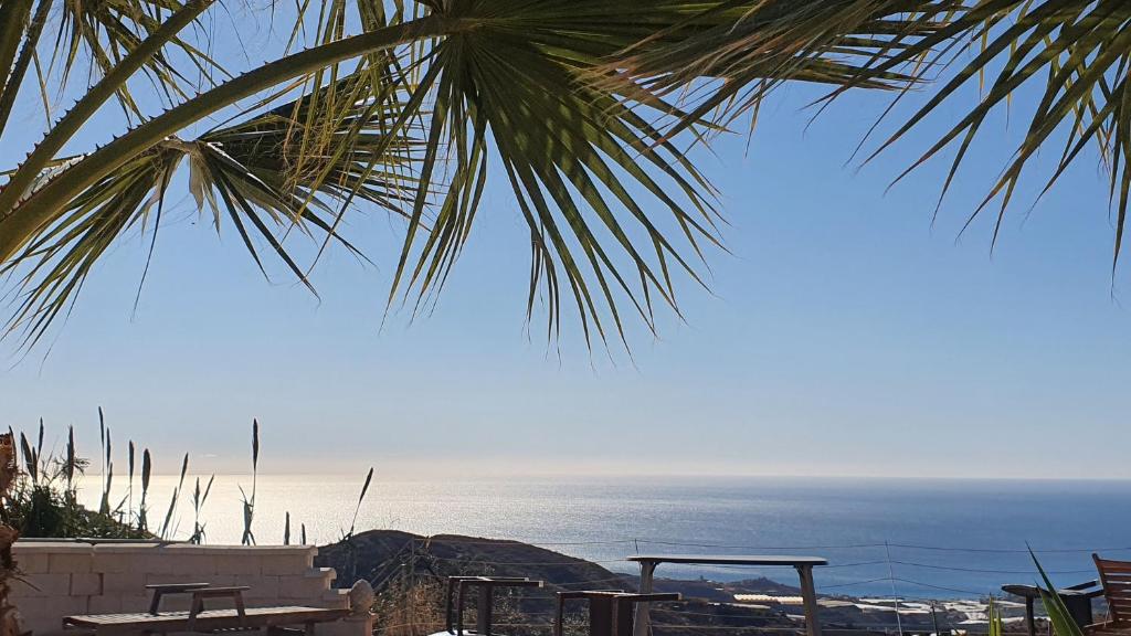 a view of the ocean from under a palm tree at Finca Esperanza Costa del Sol in Sayalonga
