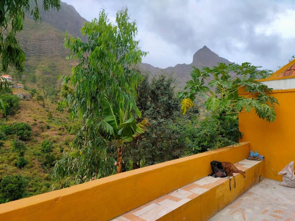 a dog sitting on a balcony looking at a mountain at Gîte hicking bas in Xá Xá