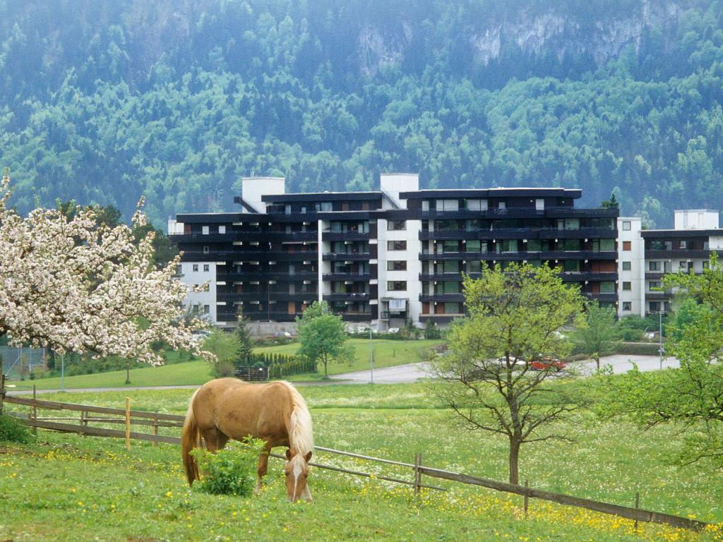 Gallery image of Apartment Buck by Interhome in Füssen