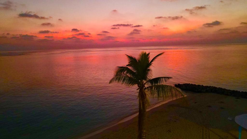 Alimas Holiday Retreat Maldives - 14