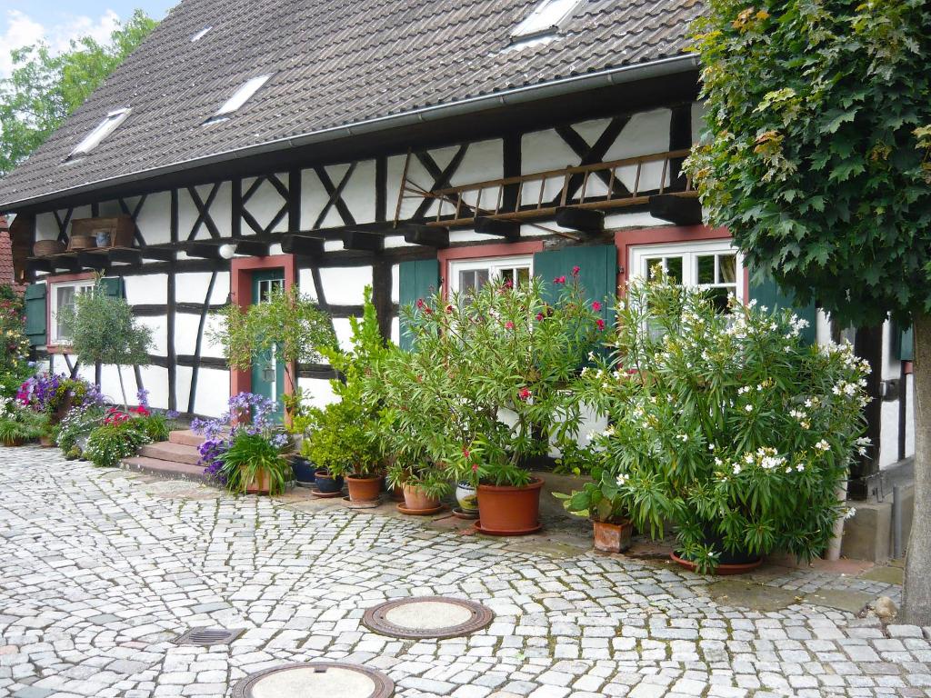 a house with potted plants in front of it at Holiday Home Haus Schwärzel by Interhome in Neuried