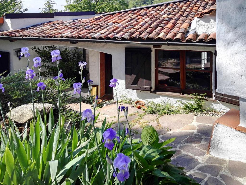 Reno Di LeggiunoにあるHoliday Home Casa del Pittore by Interhomeの紫の花の庭