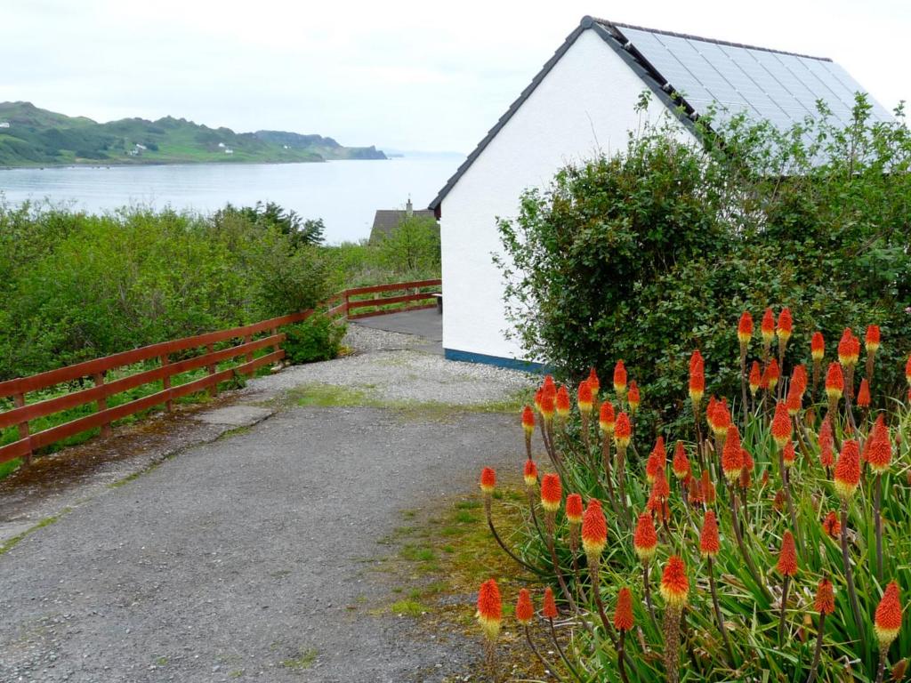 a garden with orange flowers next to a building at Holiday Home Ewan's by Interhome in Staffin
