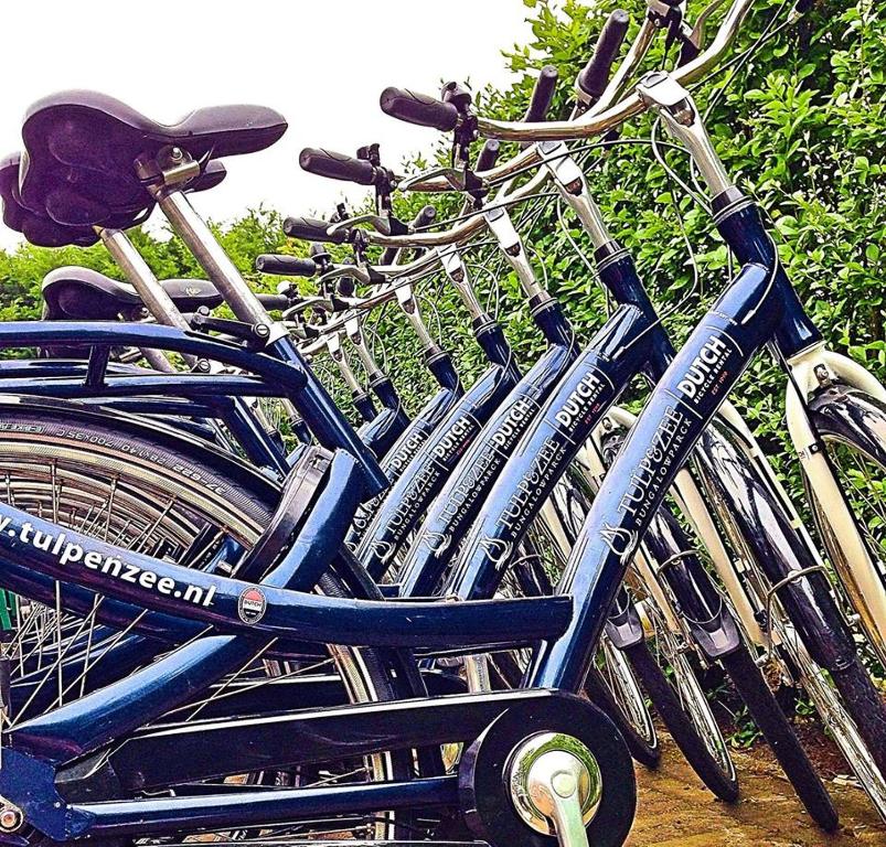 - un groupe de vélos garés l'un à côté de l'autre dans l'établissement Bungalow 6p, à Noordwijk