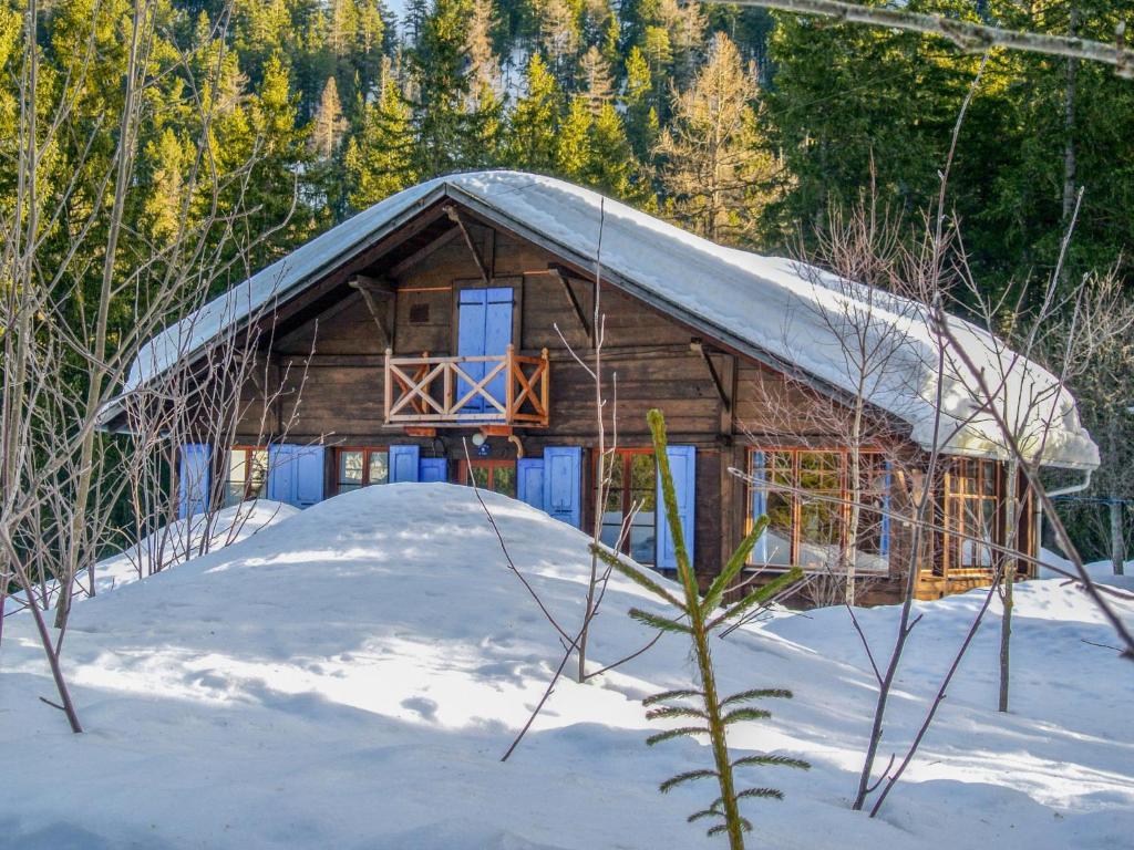 a log cabin in the snow with a roof at Chalet Dufaux by Interhome in Champex