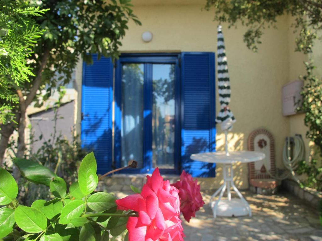 a house with a blue door and a pink flower at Porto Kastri Studios in Kastrí