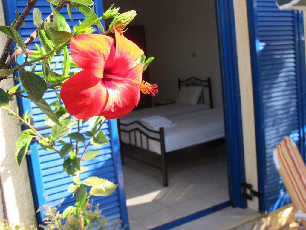 a red flower in front of a room with a bed at Porto Kastri Studios in Kastrí