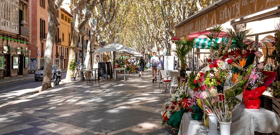 a street with a bunch of flowers on the sidewalk at Rambla - Palma center in Palma de Mallorca