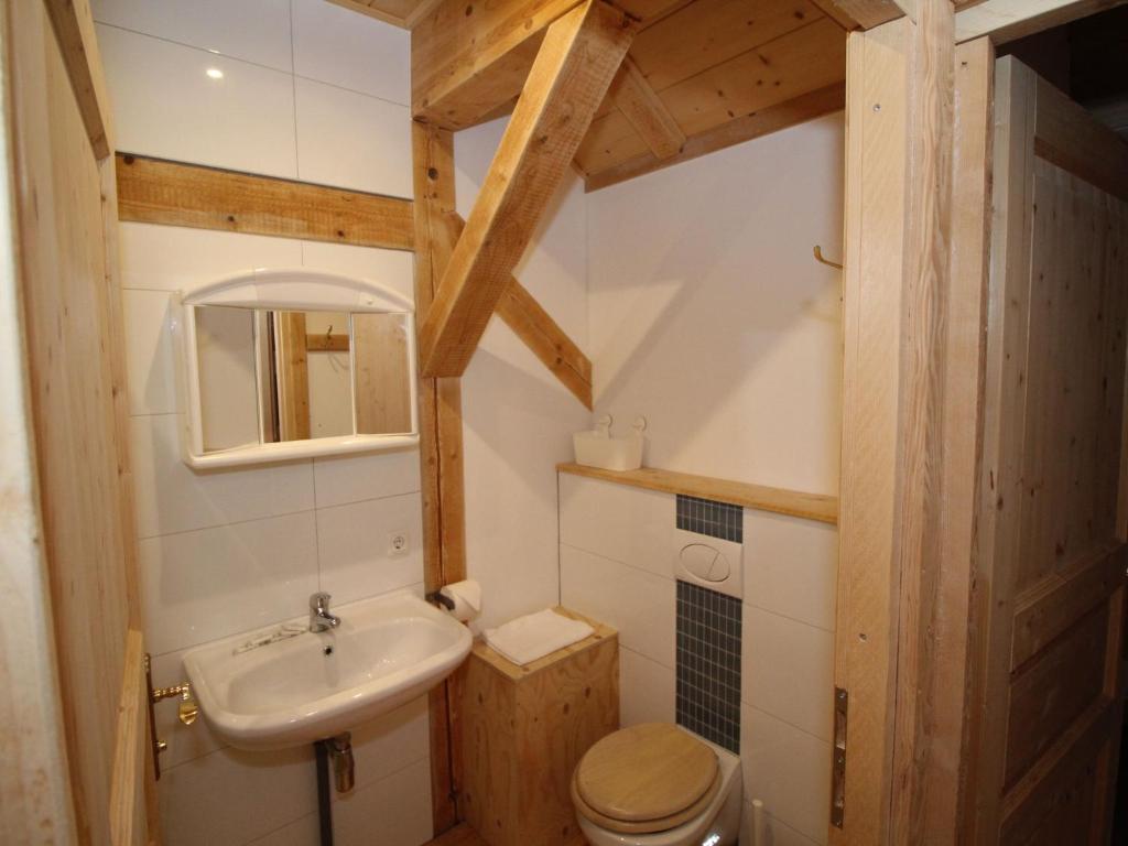 Koupelna v ubytování Apartment Bärenhöhle - Top 6 by Interhome