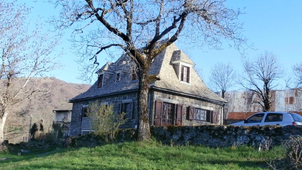 an old house with a tree in the yard at Maison de charme dans le Parc des Volcans d'Auvergne avec terrasse in Lascelle
