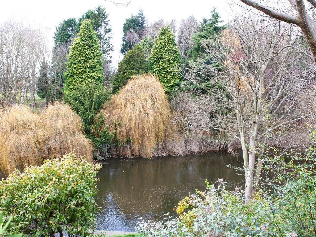 a river in a garden with trees and bushes at Riverdale in Shrewsbury