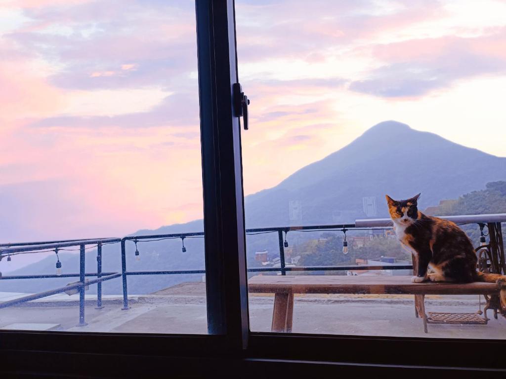 Eine Katze, die auf einer Bank sitzt und aus dem Fenster schaut. in der Unterkunft Camellia 2022 in Jiufen