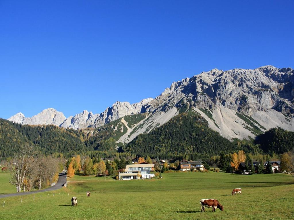 Fotografie z fotogalerie ubytování Apartment Annis Nest by Interhome v Ramsau am Dachstein