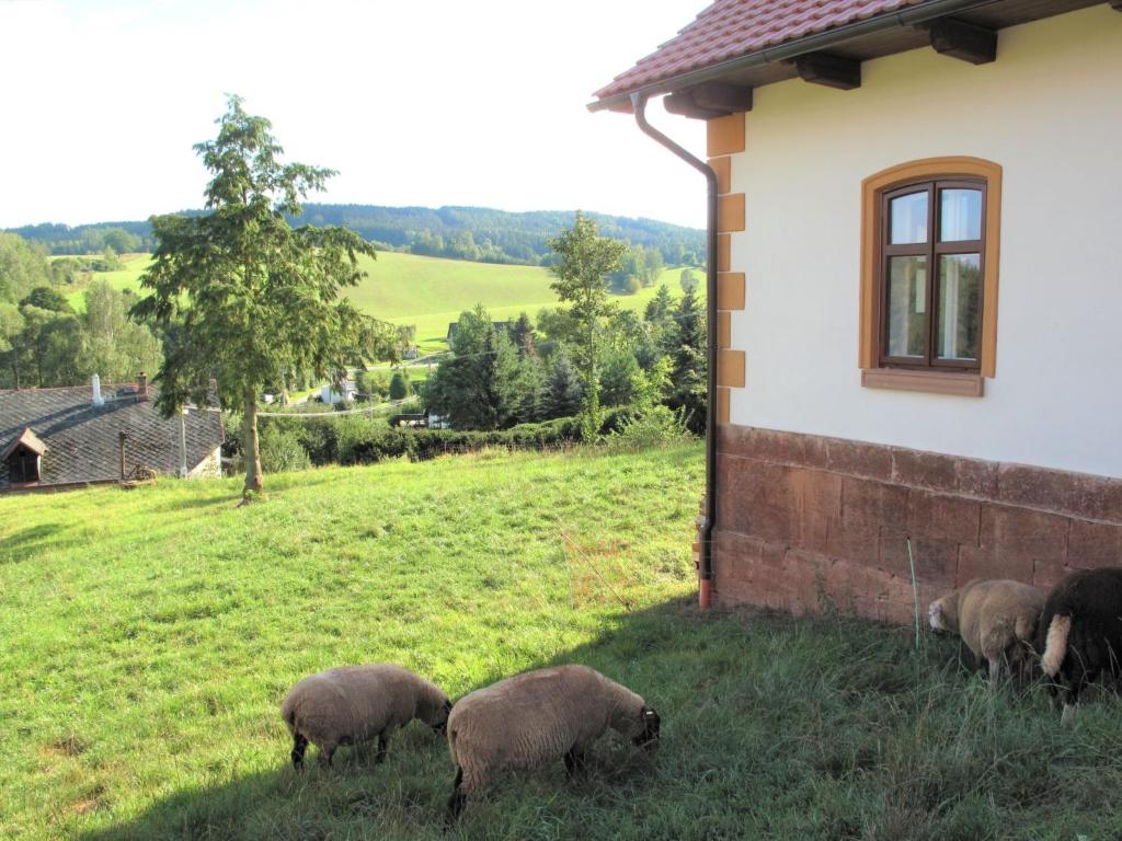 Zvířata v prázdninového domu nebo okolí
