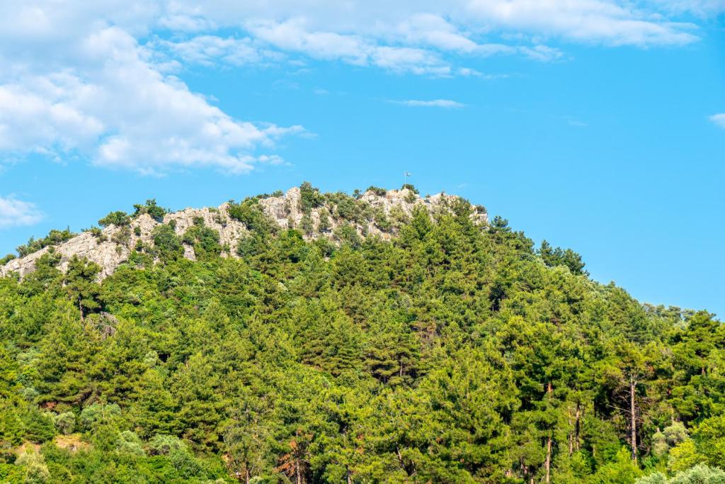 Hotel Lido Thassos - 8