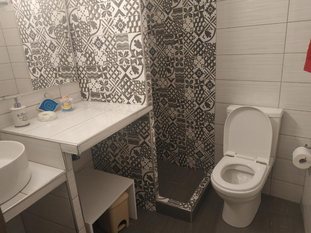 un piccolo bagno con servizi igienici e lavandino di Rita's Appartements and Studios a Karpathos