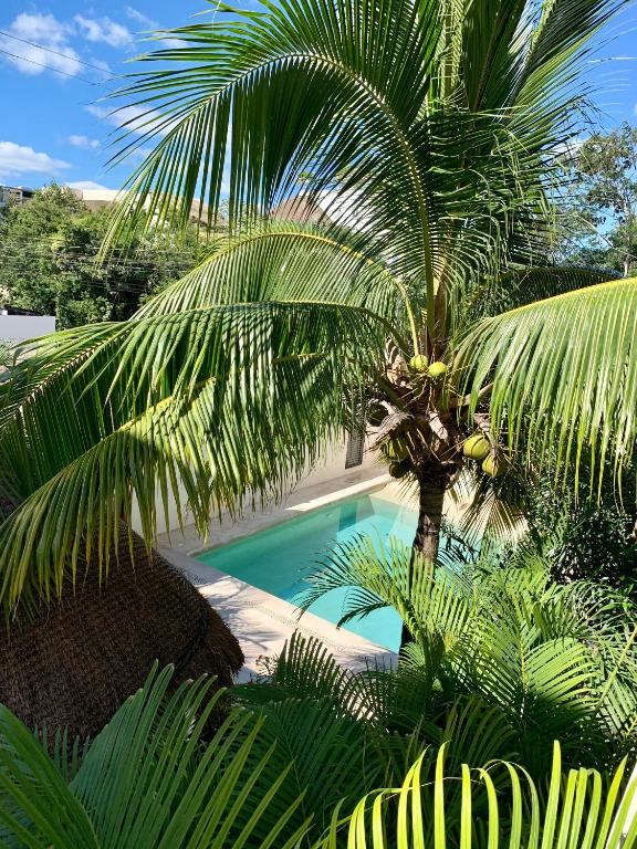 Tua Tulum Apartments spaziosi e confortevoli - Wohnung