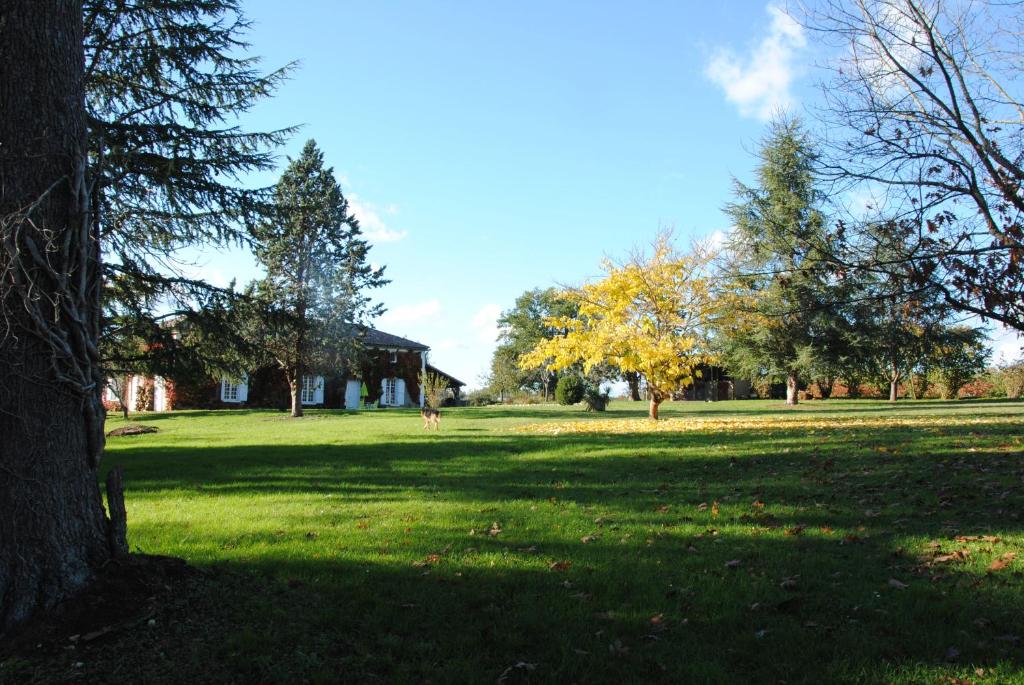 un campo de hierba con una casa y árboles en Le Château de Roquebère, en Condom