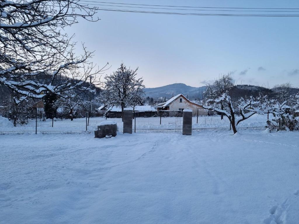 Domček pod orechom v zimě