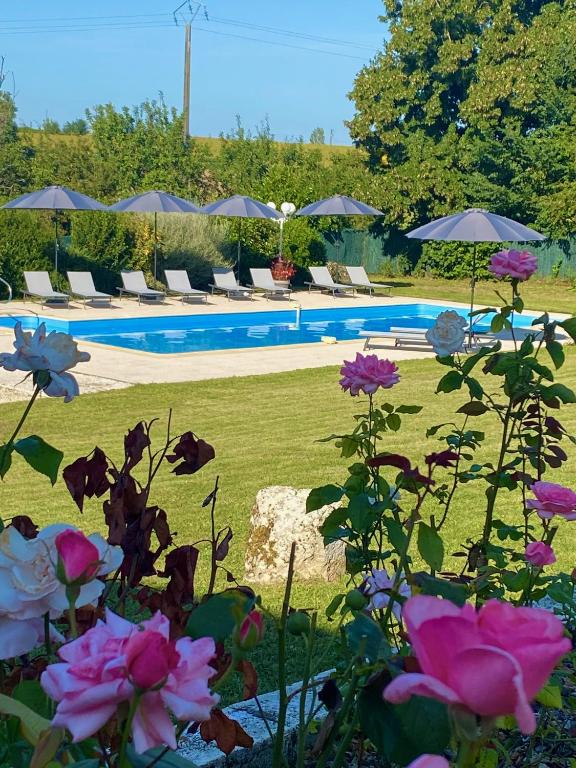 Bazén v ubytování Le Petit Bleu Chambre d'hôtes nebo v jeho okolí
