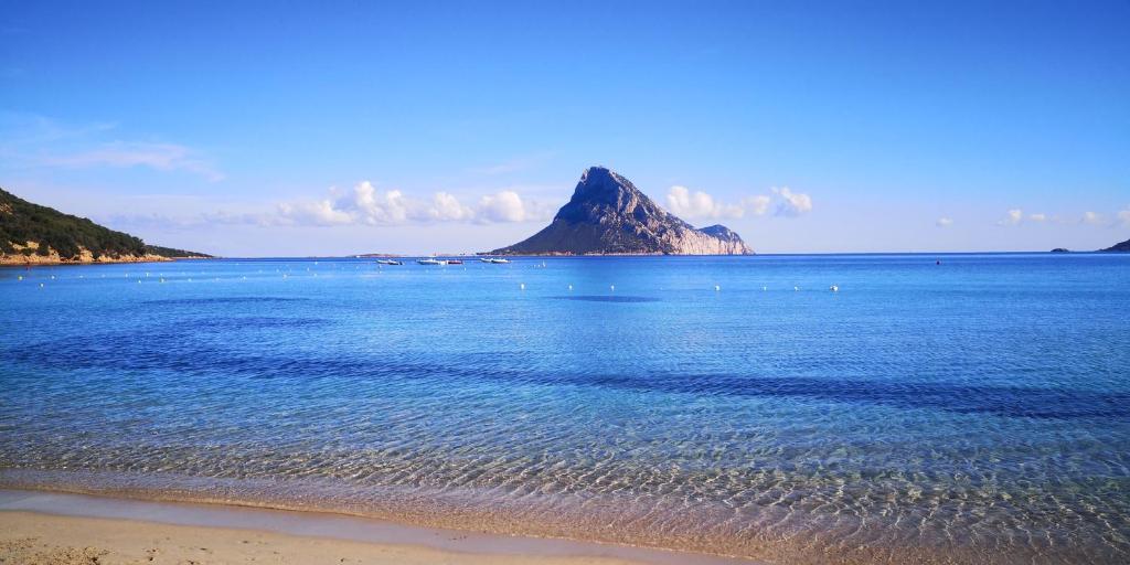 Vista Tavolara - Sardegna Holiday Apartment - Apartment With Sea View