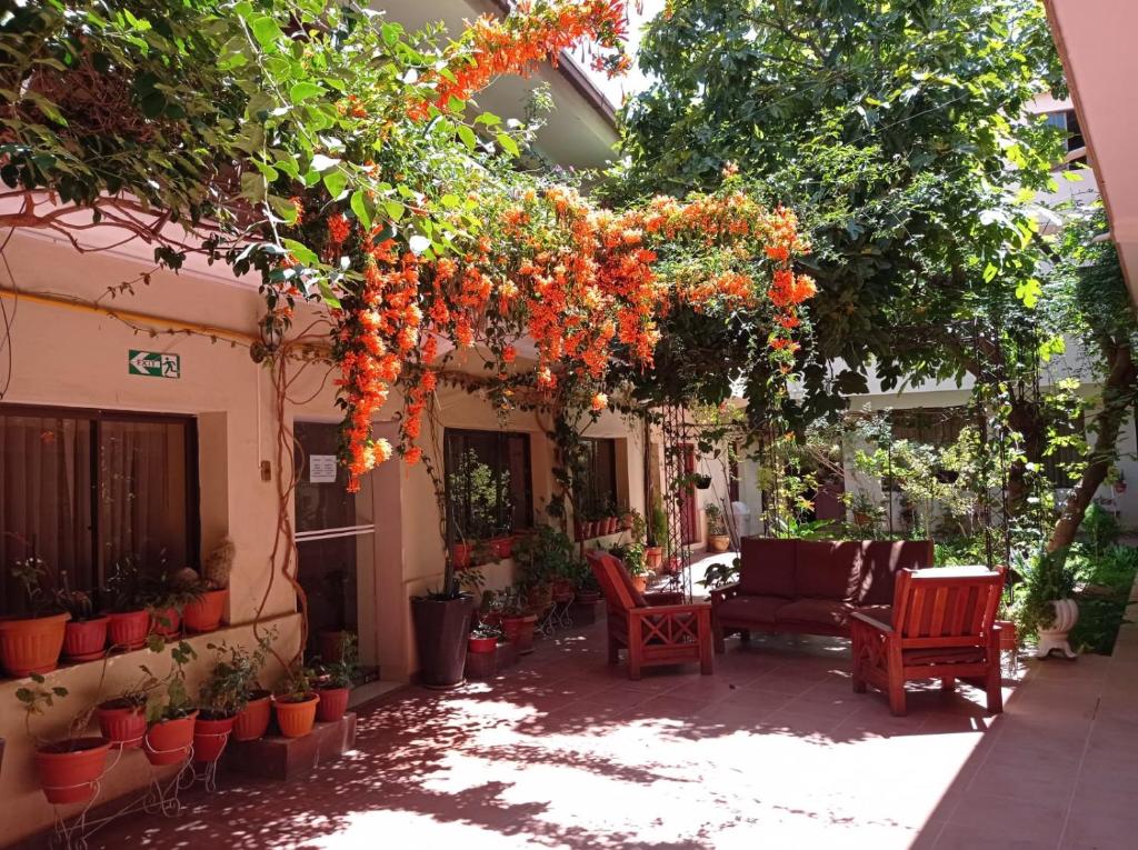 a garden with a bunch of flowers hanging from a building at Hostal Aramayo in Tupiza