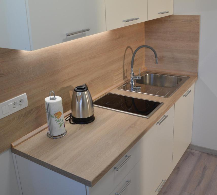 Kuchyň nebo kuchyňský kout v ubytování Apartma Vila Zigmund