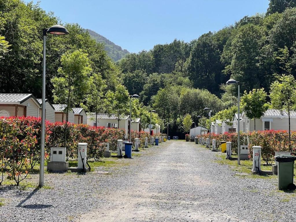 una carretera bordeada de árboles y farolas en Camping Igara de San Sebastian, en San Sebastián