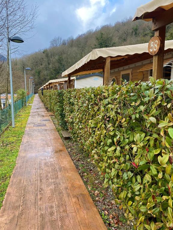 A garden outside Camping Igara de San Sebastian