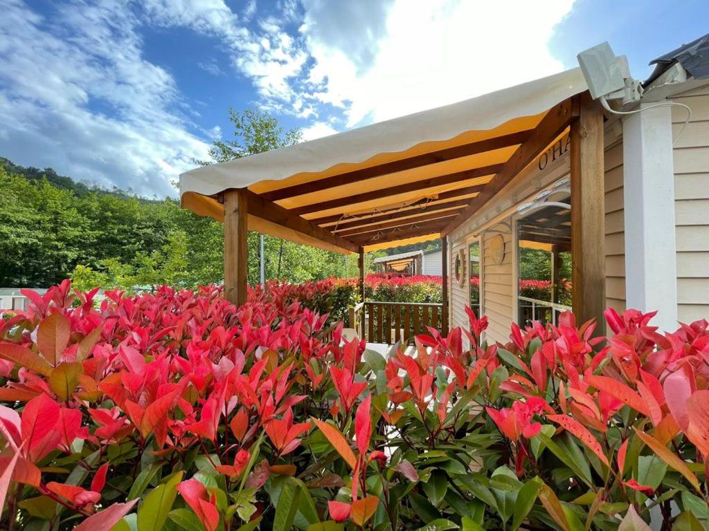 A garden outside Camping Igara de San Sebastian