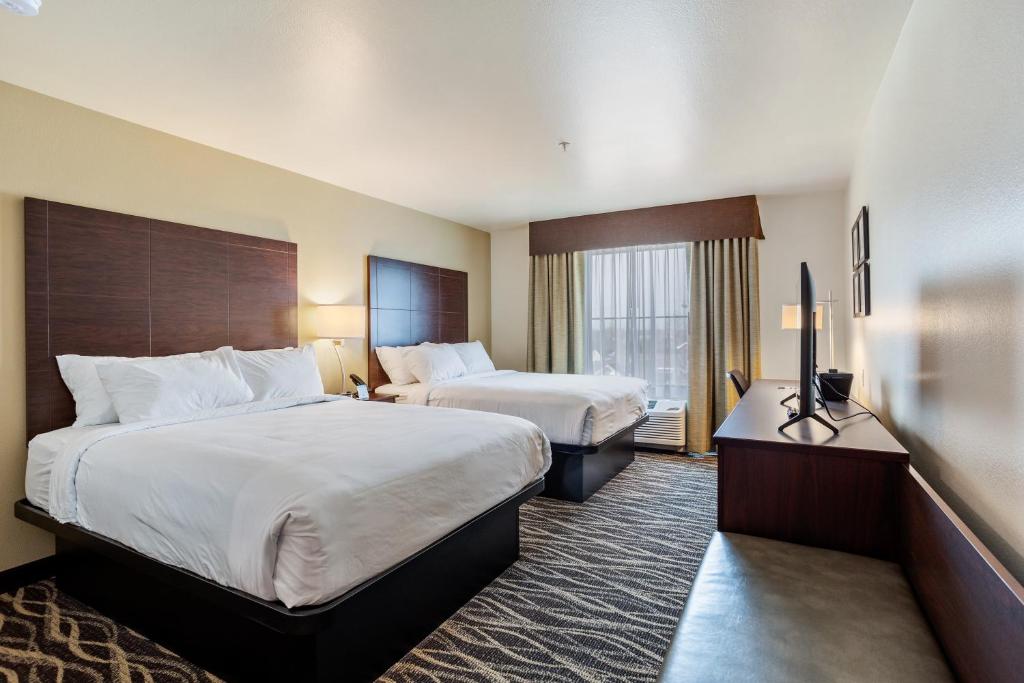 Cobblestone Hotel & Suites - Little Chute - 女王工作室
